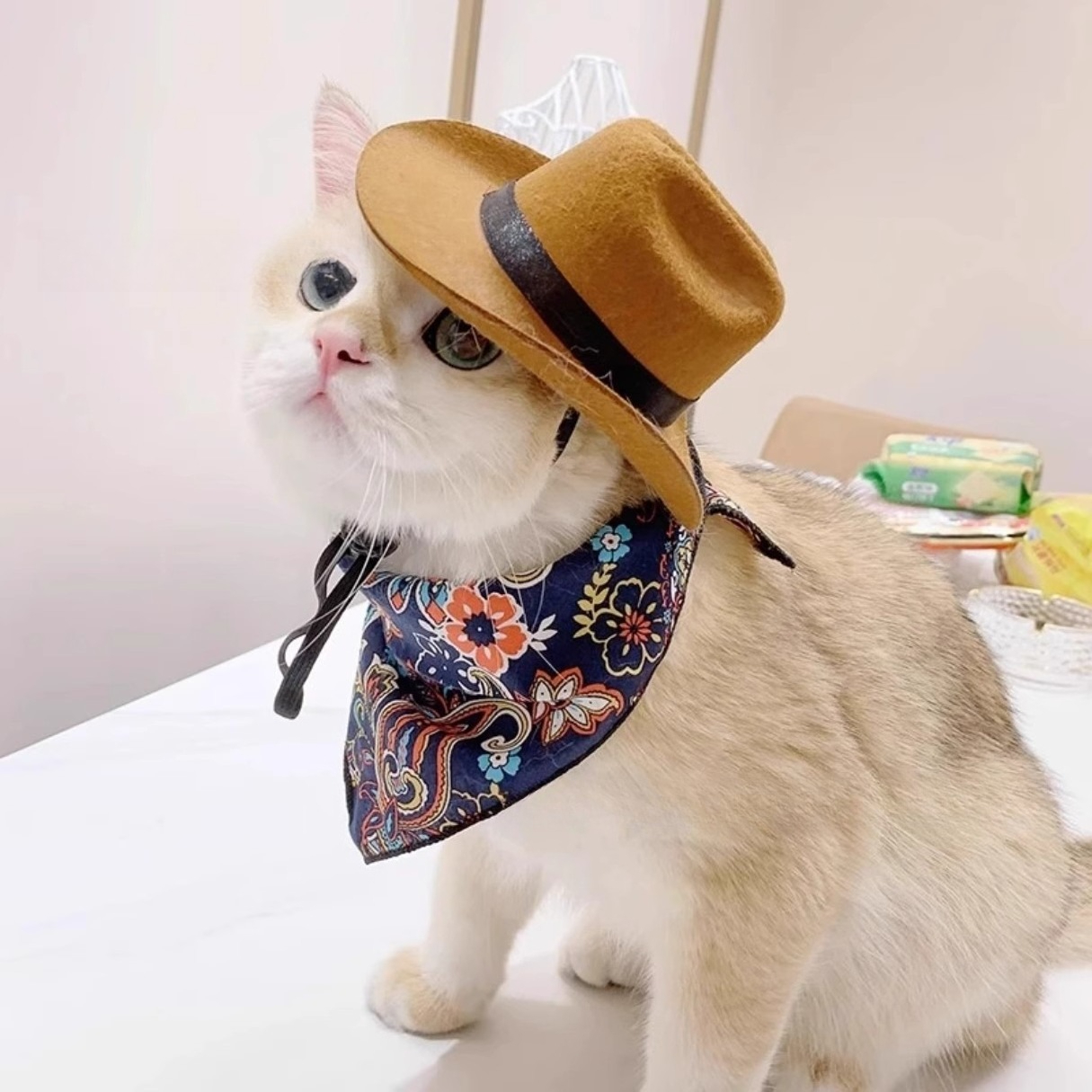  Cat Cowboy Hat Pet Head Acce - Cowboy Hat Straw บทวิจารณ์และราคา